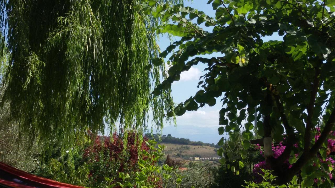 Villa Tre Cammelli In Collina à Montesilvano Marina Extérieur photo